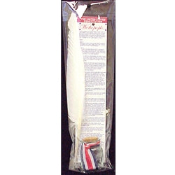 The United States Constitution with Quill & Ink Well