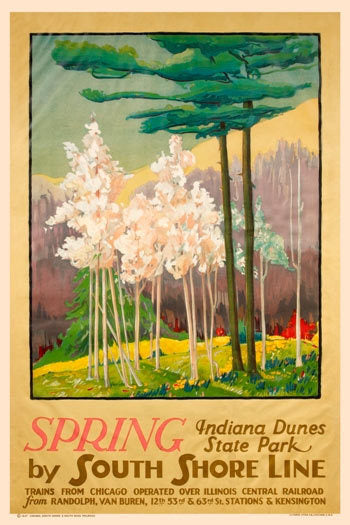Spring: Indiana Dunes State Park Poster – Shop-IHS